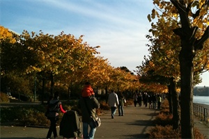 Spaziergänger_an_einem_der_schönsten_Herbsttage_2010_-_panoramio.jpg