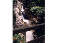 Foto für Rindbach-Wasserfall