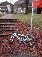 09 2020 kaputtes Fahrrad Rathauspark.jpg